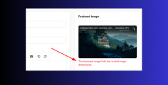 Filament: Validate One Form Field "Live" Before Submit