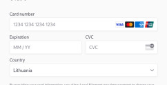 Filament: Stripe One-Time Payment Form with Elements