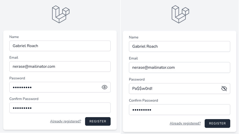 password show hide